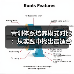 青训体系培养模式对比:从实践中找出最适合未来的路径(图2) 青训体系培养模式对比:从实践中找出最适合未来的路径(图2)