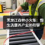 黑龙江森林小火车:慢生活康养产业的引擎(图1) 黑龙江森林小火车:慢生活康养产业的引擎(图1)
