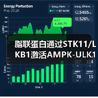 脂联蛋白通过STK11/LKB1激活AMPK-ULK1通路诱导乳腺癌自噬性死亡(图2) 脂联蛋白通过STK11/LKB1激活AMPK-ULK1通路诱导乳腺癌自噬性死亡(图2)