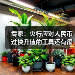 专家:央行应对人民币过快升值的工具还有很多(图3) 专家:央行应对人民币过快升值的工具还有很多(图3)