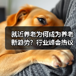 就近养老为何成为养老新趋势?行业峰会热议新模式(图2) 就近养老为何成为养老新趋势?行业峰会热议新模式(图2)