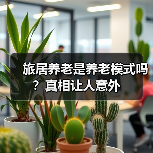 旅居养老是养老模式吗?真相让人意外(图4) 旅居养老是养老模式吗?真相让人意外(图4)