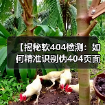 【揭秘软404检测:如何精准识别伪404页面保障网站质量】(图2) 【揭秘软404检测:如何精准识别伪404页面保障网站质量】(图2)