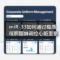 miR-33如何通过脂质筏胆固醇调控心脏重塑中的纤维化反应(图4) miR-33如何通过脂质筏胆固醇调控心脏重塑中的纤维化反应(图4)