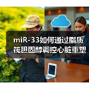 miR-33如何通过脂质筏胆固醇调控心脏重塑中的纤维化反应(图3) miR-33如何通过脂质筏胆固醇调控心脏重塑中的纤维化反应(图3)