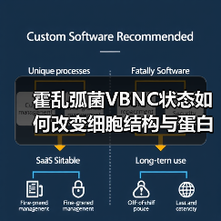 霍乱弧菌VBNC状态如何改变细胞结构与蛋白质组?(图4) 霍乱弧菌VBNC状态如何改变细胞结构与蛋白质组?(图4)