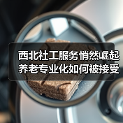 西北社工服务悄然崛起 养老专业化如何被接受?(图4) 西北社工服务悄然崛起 养老专业化如何被接受?(图4)