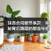 球员合同细节条款:揭秘背后隐藏的那些秘密(图3) 球员合同细节条款:揭秘背后隐藏的那些秘密(图3)