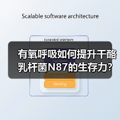 有氧呼吸如何提升干酪乳杆菌N87的生存力?(图1) 有氧呼吸如何提升干酪乳杆菌N87的生存力?(图1)