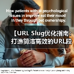 【URL Slug优化指南:打造简洁高效的URL段】(图4) 【URL Slug优化指南:打造简洁高效的URL段】(图4)