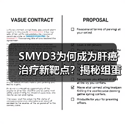 SMYD3为何成为肝癌治疗新靶点?揭秘组蛋白甲基转移酶的致癌机制(图3) SMYD3为何成为肝癌治疗新靶点?揭秘组蛋白甲基转移酶的致癌机制(图3)