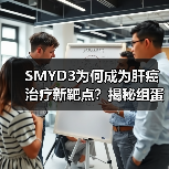 SMYD3为何成为肝癌治疗新靶点?揭秘组蛋白甲基转移酶的致癌机制(图1) SMYD3为何成为肝癌治疗新靶点?揭秘组蛋白甲基转移酶的致癌机制(图1)