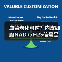血管老化可逆？内皮细胞NAD+/H2S信号受损如何逆转？（图4）