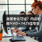 血管老化可逆？内皮细胞NAD+/H2S信号受损如何逆转？（图3）