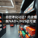 血管老化可逆？内皮细胞NAD+/H2S信号受损如何逆转？（图2）