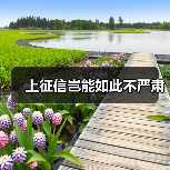 上征信岂能如此不严肃(图3) 上征信岂能如此不严肃(图3)