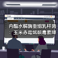 内酯水解酶重组乳杆菌:玉米赤霉烯酮毒素降解新方案?(图1) 内酯水解酶重组乳杆菌:玉米赤霉烯酮毒素降解新方案?(图1)