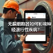 无膜细胞器如何影响神经退行性疾病?(图1) 无膜细胞器如何影响神经退行性疾病?(图1)