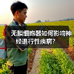无膜细胞器如何影响神经退行性疾病?(图2) 无膜细胞器如何影响神经退行性疾病?(图2)