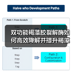 双功能褐藻胶裂解酶如何高效降解并提升褐藻寡糖制备?(图4) 双功能褐藻胶裂解酶如何高效降解并提升褐藻寡糖制备?(图4)