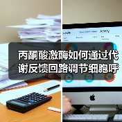 丙酮酸激酶如何通过代谢反馈回路调节细胞呼吸氧化还原能力(图2) 丙酮酸激酶如何通过代谢反馈回路调节细胞呼吸氧化还原能力(图2)