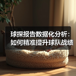 球探报告数据化分析:如何精准提升球队战绩(图2) 球探报告数据化分析:如何精准提升球队战绩(图2)