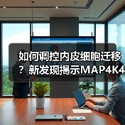 如何调控内皮细胞迁移?新发现揭示MAP4K4的磷酸化机制(图4) 如何调控内皮细胞迁移?新发现揭示MAP4K4的磷酸化机制(图4)