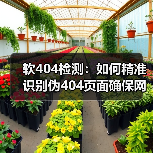 软404检测:如何精准识别伪404页面确保网站内容质量(图4) 软404检测:如何精准识别伪404页面确保网站内容质量(图4)