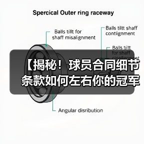 【揭秘!球员合同细节条款如何左右你的冠军梦想】(图4) 【揭秘!球员合同细节条款如何左右你的冠军梦想】(图4)
