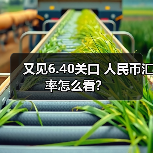 又见6.40关口 人民币汇率怎么看?(图3) 又见6.40关口 人民币汇率怎么看?(图3)