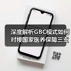 深度解析GBC模式如何对接国家医养保障三支柱体系（图3）