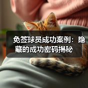 免签球员成功案例:隐藏的成功密码揭秘(图3) 免签球员成功案例:隐藏的成功密码揭秘(图3)