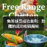 免签球员成功案例:隐藏的成功密码揭秘(图4) 免签球员成功案例:隐藏的成功密码揭秘(图4)