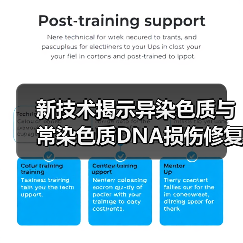 新技术揭示异染色质与常染色质DNA损伤修复差异（图3）