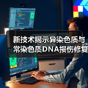 新技术揭示异染色质与常染色质DNA损伤修复差异（图4）