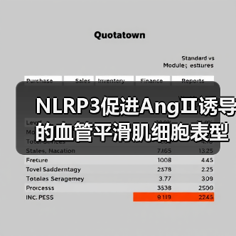 NLRP3促进AngⅡ诱导的血管平滑肌细胞表型转化,引发血管重构与高血压(图1) NLRP3促进AngⅡ诱导的血管平滑肌细胞表型转化,引发血管重构与高血压(图1)