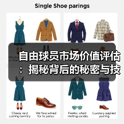 自由球员市场价值评估:揭秘背后的秘密与技巧(图1) 自由球员市场价值评估:揭秘背后的秘密与技巧(图1)