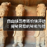 自由球员市场价值评估:揭秘背后的秘密与技巧(图4) 自由球员市场价值评估:揭秘背后的秘密与技巧(图4)