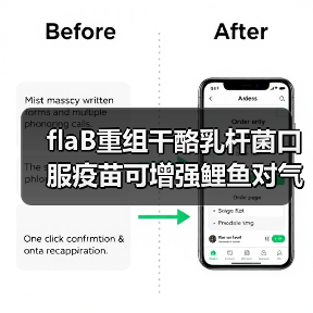 flaB重组干酪乳杆菌口服疫苗可增强鲤鱼对气单胞菌的免疫能力(图2) flaB重组干酪乳杆菌口服疫苗可增强鲤鱼对气单胞菌的免疫能力(图2)