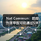 Nat Commun:防腐剂苯甲酸可能通过SIRT2调控组蛋白赖氨酸苯甲酰化(图2) Nat Commun:防腐剂苯甲酸可能通过SIRT2调控组蛋白赖氨酸苯甲酰化(图2)