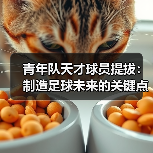 青年队天才球员提拔:制造足球未来的关键点(图1) 青年队天才球员提拔:制造足球未来的关键点(图1)