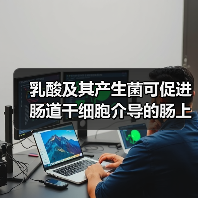 乳酸及其产生菌可促进肠道干细胞介导的肠上皮发育再生（图2）