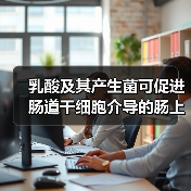 乳酸及其产生菌可促进肠道干细胞介导的肠上皮发育再生（图3）