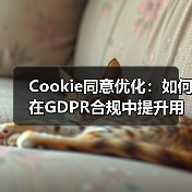 Cookie同意优化:如何在GDPR合规中提升用户体验(图3) Cookie同意优化:如何在GDPR合规中提升用户体验(图3)