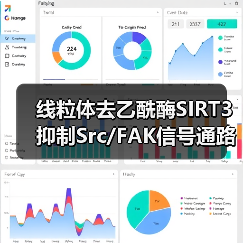 线粒体去乙酰酶SIRT3抑制Src/FAK信号通路、阻碍癌症细胞迁移(图4) 线粒体去乙酰酶SIRT3抑制Src/FAK信号通路、阻碍癌症细胞迁移(图4)