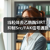 线粒体去乙酰酶SIRT3抑制Src/FAK信号通路、阻碍癌症细胞迁移(图1) 线粒体去乙酰酶SIRT3抑制Src/FAK信号通路、阻碍癌症细胞迁移(图1)