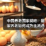 中国养老国家战略:居家养老如何成为主流选择?(图1) 中国养老国家战略:居家养老如何成为主流选择?(图1)