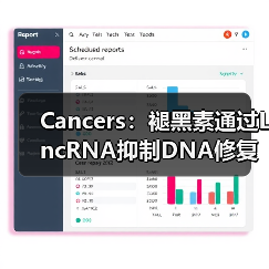 Cancers:褪黑素通过LncRNA抑制DNA修复、增强肝癌化疗敏感性(图2) Cancers:褪黑素通过LncRNA抑制DNA修复、增强肝癌化疗敏感性(图2)