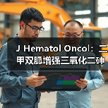 J Hematol Oncol:二甲双胍增强三氧化二砷抑制肝内胆管癌的作用(图3) J Hematol Oncol:二甲双胍增强三氧化二砷抑制肝内胆管癌的作用(图3)