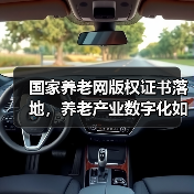 国家养老网版权证书落地,养老产业数字化如何破局?(图4) 国家养老网版权证书落地,养老产业数字化如何破局?(图4)